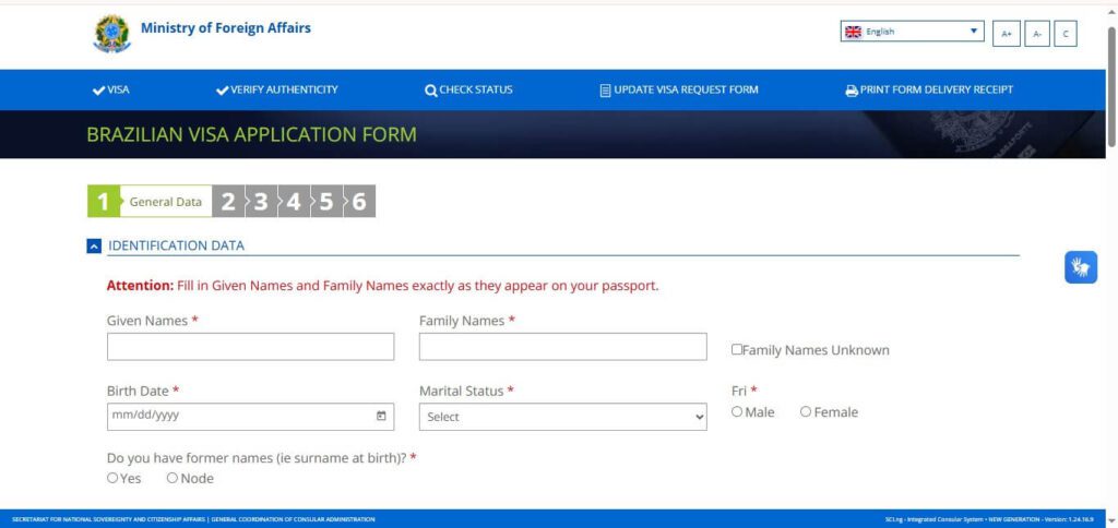 step 2 Brazil visa application form